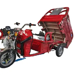 EEC tres ruedas de carga eléctrica bicicleta triciclo con carro blanco 60V 10 pulgadas hormiga motocicleta de carga eléctrica 2000 W 72 V abierto 7-9h