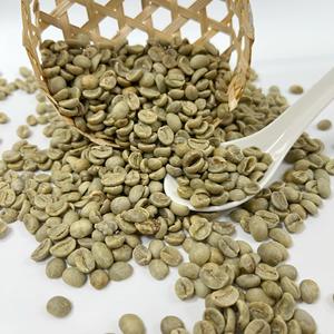 Granos de café Arábica S18 de alta calidad, exportados desde Vietnam. Los granos de café Arábica vietnamitas se cultivan en zonas de alta montaña. - Product Image 1