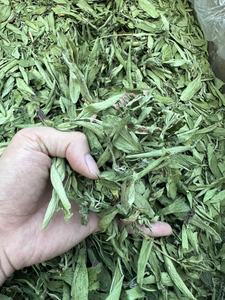 Hoja de Stevia Seca para Bebidas y Alimentos, Mezcla con Aroma Suave, Nivel de Dulzura Equilibrado, Suministro Constante para Compradores Globales - Product Image 5