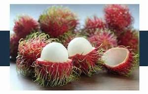 NATURAL RAMBUTAN IN <b>CAN</b> SWEET AND JUICY HEALTHY IMMUNE SUPPORT <b>FRUIT</b> - Product Image 5