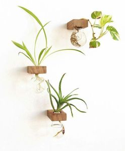 Support et étagères en bois faits à la main de qualité supérieure pour la décoration de la maison et de la chambre Technique de suspension murale polie - Product Image 2