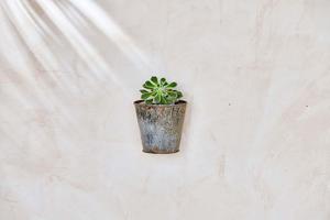 Pomo – jardinière en métal recyclé, en vrac, Vintage, Unique, moderne, fabricant en gros, acheteurs commerciaux, maison, hôtel, Restaurant - Product Image 2