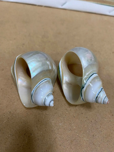 Porte-serviettes en jonc de mer naturel Accessoires de table rustiques faits à la main pour les événements de mariage Exportateur en gros - Product Image 2