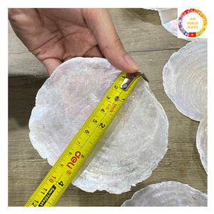 Discos blancos redondos naturales de concha Capiz con agujeros a granel al por mayor para carillones de viento hechos a mano decoración de cortinas y joyería DIY - Product Image 3