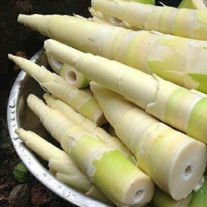 POUSSES DE BAMBOU CONGELÉES | AUCUN ADDITIF | FAIBLE CALORIE | PRODUIT VIETNAMIEN - Product Image 6