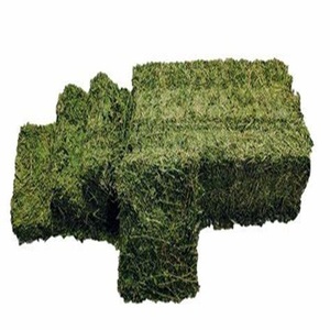 Heno de Alfalfa Seco Premium al por Mayor 2025, en Pacas, para Alimentación de Caballos y Ganado, Exportación desde Austria - Product Image 4