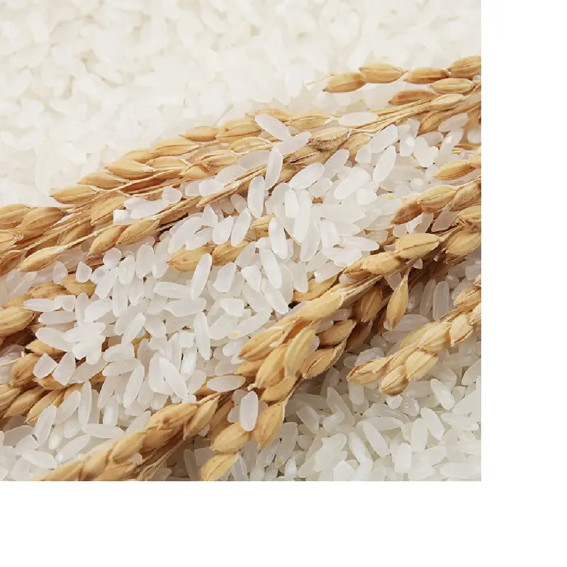 أرز بسمتي غني عالي الجودة من الدرجة الأولى أرز بسمتي أبيض بسعر معقول