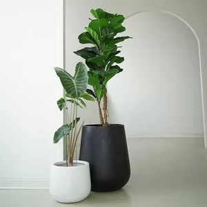 Jardinière de sol décorative unique de grande taille pour la décoration de la maison, du jardin et des mariages, personnalisable en finition avec du métal de haute qualité - Product Image 3