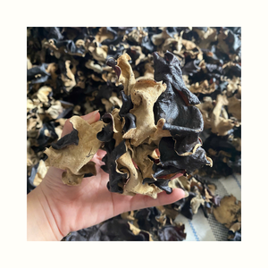 Dried Cloud Ear Fungus for Culinary Use Food Manufacturing and Ingredient Processing Needs - Product Image 5