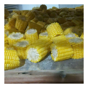 Maíz congelado Premium con dulzura natural y color amarillo brillante, perfecto para saltear, ensalada, cobertura de pizza, cocción rápida - Product Image 6