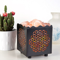 Lampe électrique en sel rose de l'Himalaya naturel en acier intérieur CNC, boîte en acier, dimmable, cordon, décoration intérieure, purificateur d'air pour salle de massage, détox