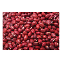 Haricots rouges de qualité supérieure provenant de thaïlande produits agricoles vente en gros légumes frais 10 Kg par Carton