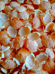 100% NATURAL Dried Crab Shells <b>Clean</b> Crab Carapaces Food <b>Stuff</b> Made in Vietnam Wholesale Price - Product Image 6