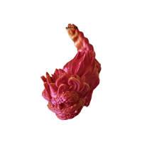 Tendance du moment : Dragon chinois et Danse du Lion 3D pour voiture