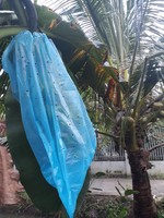 Vente en gros de sacs personnalisés en plastique PP avec housse banane sacs de protection imperméables pour fruits pour l'agriculture
