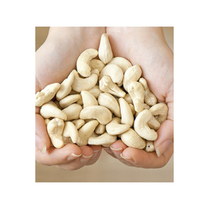 cashew <b>nuts</b> wholesale bulk packaging for international buyers - Product Image 5