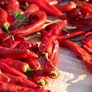 Options d'emballage de boîte/sac en vrac de haute qualité dernier piment rouge séché du Vietnam goût épicé - Product Image 4