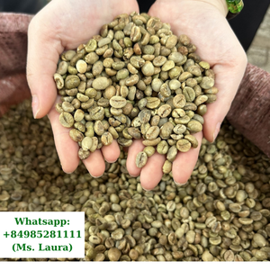 Premium Quality Robusta Green Coffee <b>Beans</b> Whole Raw Dried Jute <b>Bag</b> Packaging Grade A+ 100% Purity - Product Image 1