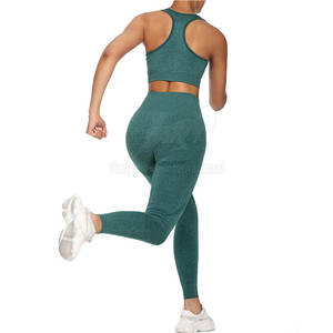 High Quality Gym Fitness Seamless <b>Yoga</b> <b>set</b> Women 2pcs Seamless <b>Yoga</b> <b>Set</b> Sports Gym Wear <b>Yoga</b> <b>Set</b> - Product Image 6