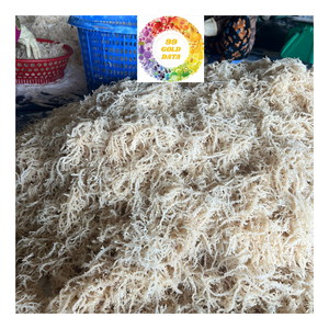 Eucheuma Cottonnii Seaweed Premium Dry Irish Sea Moss Tamaño grande Calidad limpia Elección perfecta para ensalada Seamoss - Product Image 2