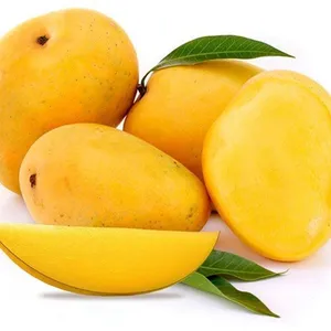 Bevroren Mango Plakjes-Van Natuurlijke Verse Fruit Geen Additief-De Meest Concurrerende Prijs!