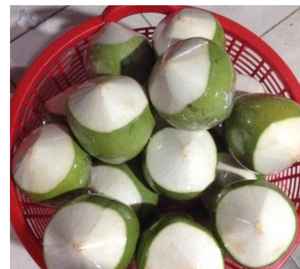 Noix de coco verte fraîche du Vietnam Exportation Japon Corée-Noix de coco fraîche 100% Naturelle-Akina - Product Image 2