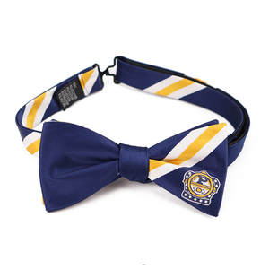 Corbata de Microfibra a Rayas Azules y Amarillas para Oficina, con Logotipo Corporativo Jacquard y Corbatín a Juego - Product Image 3