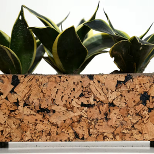 Triplantador abstracto de corcho Natural personalizado para decoración del hogar, catering y macetas residenciales, cultivo de macetas - Product Image 1