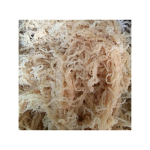 สาหร่าย Eucheuma cottonii แห้งดิบเก็บเกี่ยวจากพื้นที่ชายฝั่งทะเลที่สะอาดพร้อมส่ง - Product Image 3
