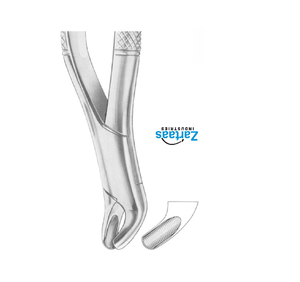 Fórceps de extracción de acero inoxidable de alta calidad, molares superiores, Fig. 24, exportadores y fabricantes - Product Image 2