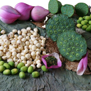 เมล็ดบัวตากแห้งแบบธรรมชาติ - Product Image 4