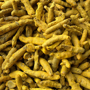 Farm Fresh Turmeric Fingers 100% Natural Sun Dried India Alta calidad RAUTIMPEX INTERNATIONAL 24 meses Las mejores tarifas del mercado indio - Product Image 1