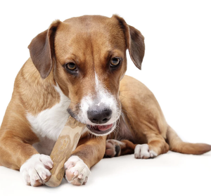 Juguete Masticable para Perros de Madera de Café Sin Químicos para un Masticado Diario Seguro - Product Image 6