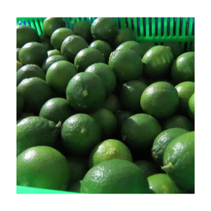 Lima fresca sin semillas, limón, fruta tropical, sabor agrio, limón verde, nueva cosecha, 100% Lima verde natural sin semillas - Product Image 6