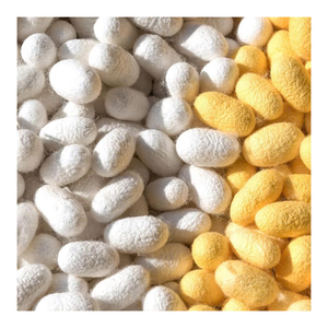 ปลอกรังไหมแบบแห้งสำหรับใช้ในเครื่องสำอางสกินแคร์ขัดผิวเรียบเนียนและทำความสะอาดรูขุมขนได้ล้ำลึก - Product Image 1