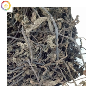 Gelée d'herbe noire à base de plantes de qualité supérieure-Feuilles de gelée séchées vietnamiennes pour le marché mondial à des prix compétitifs - Product Image 1