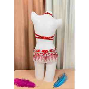 Soutien-gorge floral de haute qualité Beaded Bellydance Traje New Look Performance Wear avec un prix raisonnable - Product Image 4