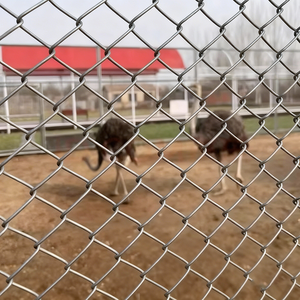 سياج شبكي حلزوني من الفولاذ المجلفن كهربائياً ومعالج حرارياً 2×2.65 مم 3 أقدام × 8.5 متر شديد التحمل مع إطار مطلي بالبودرة والبلاستيك مضاد للتسلق - Product Image 1