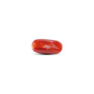 พลอยปะการังแดงญี่ปุ่นธรรมชาติ รูปไข่ ขนาด 7.3 กะรัต ขัดเงา สูง 8 มม. - Product Image 2