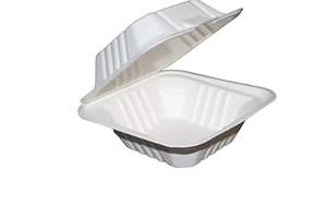 Boîte alimentaire jetable écologique en bagasse avec couvercle, 6x6 pouces, carrée, design zen asiatique, boîte à clapet à emporter, vente en gros, micro-ondable - Product Image 4
