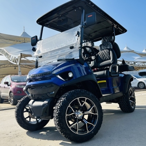 Auténtico Buggy Todoterreno de Lujo de 4 Plazas, 72V 5KW, Carro de Golf Eléctrico con Certificación DOT CE, Acero, 50-70 km/h, Carga de 3-5 Horas - Product Image 1