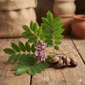 Poudre de feuilles d'extrait d'herbe de Karanj (Milletia Pinnata) cultivée à l'état sauvage, emballée sous vide - Product Image 1