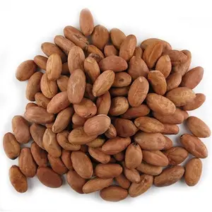 Wholesale cheap Cocoa beans quality fermented cocoa beans fresh stock for sale