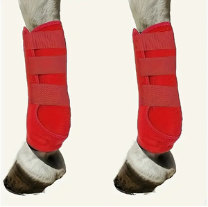 Modèle de jambe de cheval pour l'affichage dans une écurie - Product Image 2