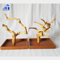 Articles chauds Naturel Oiseau Perche Playstand Café Bois pour Oiseau Accessoires De Vietnam Fabricant