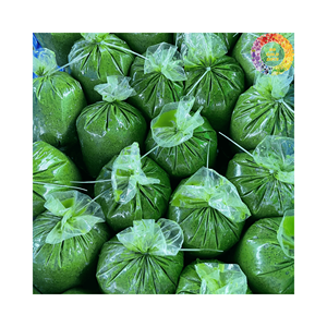 Cassava entière pelée surgelée IQF d'origine vietnamienne, tapioca yuca de haute qualité pour l'exportation en gros, bâtonnets de cassave surgelés frais en vrac - Product Image 4