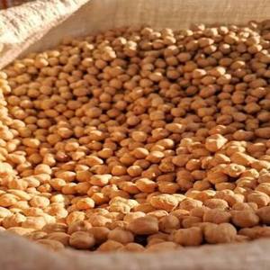 Pois chiches Kabuli Chana d'Inde - Origine Inde - Pois chiches en vrac pour la consommation humaine - En vente - Product Image 1