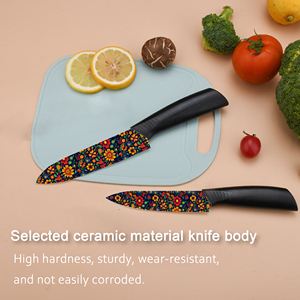 Ensemble de couteaux de chef professionnels populaires et très vendus avec lames en céramique, manches en plastique pour barbecue, prix d'usine, livraison gratuite - Product Image 4