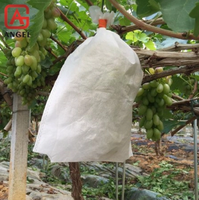 Hot Selling Pp Non-Woven Stof Fruit Kweek Hoes Fruitteelt Bescherming Niet-Geweven Zak