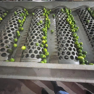 Vietnamese Seedless Lemons <b>Fresh</b> <b>Citrus</b> <b>Fruit</b> Now Squeezing Freshness Into UAE Life - Product Image 1